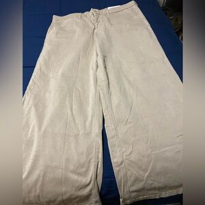 NWT American eagle size 20 stretch khaki pants